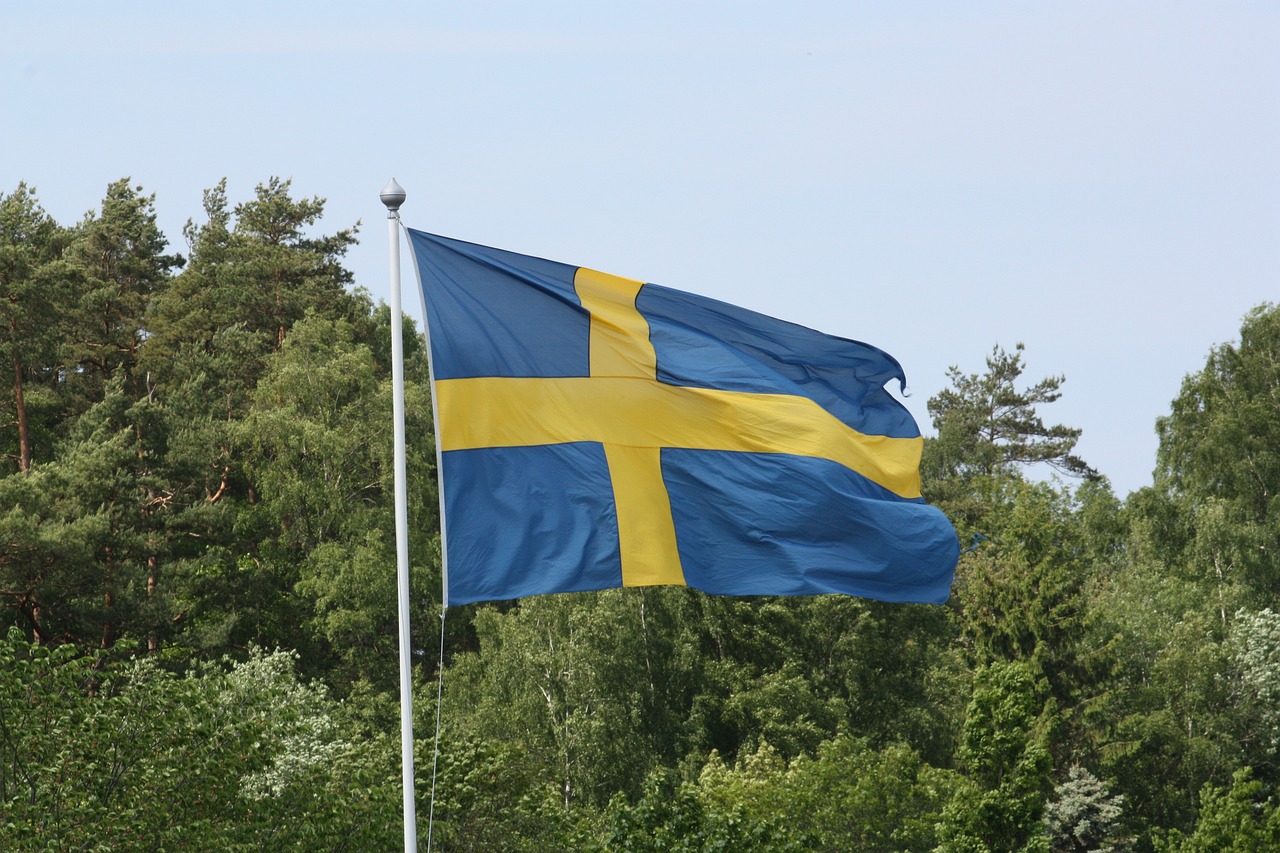 Varför har vi en nationaldag i Sverige?