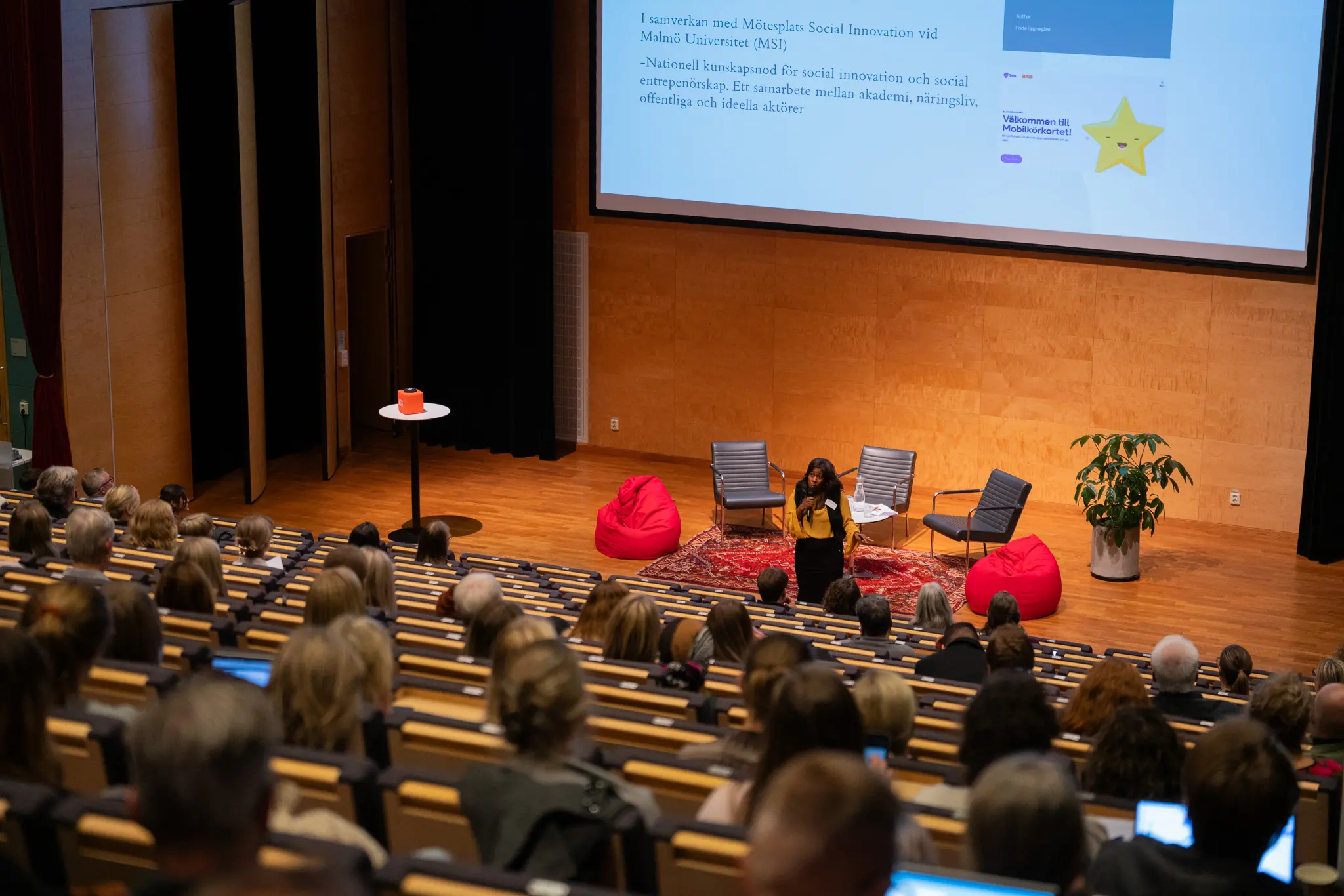 Frida Lygnegård föreläser på barnrättskonferensen