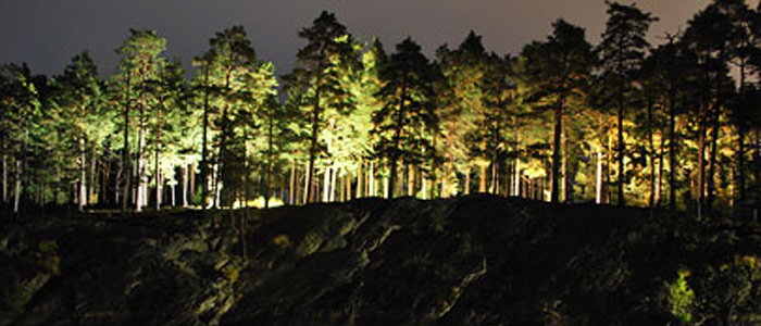 Skog som lyses upp i natten av en ljusinstallation 